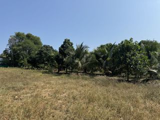 For sale land in Mueang Phuket, Phuket