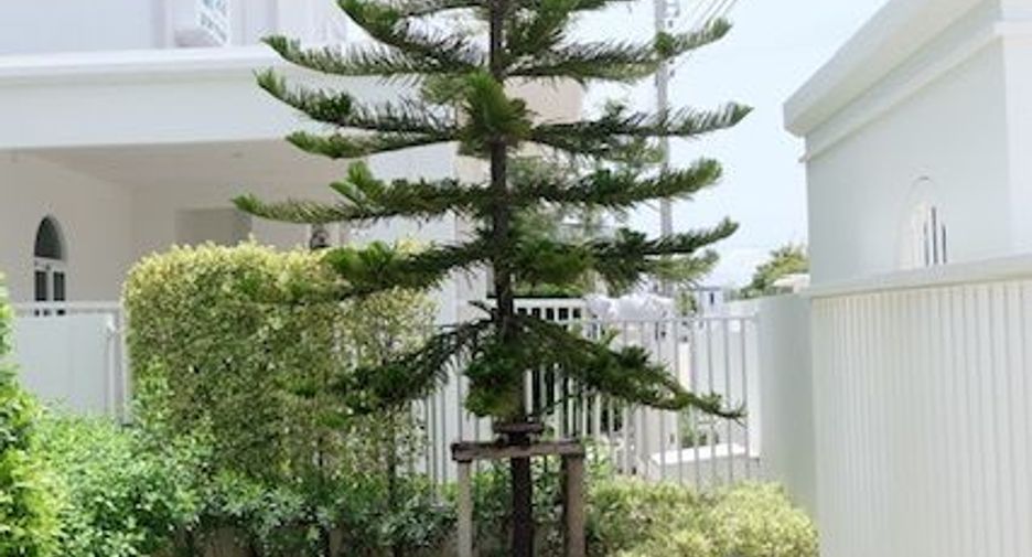 出租 3 卧室 独立屋 在 Bang Phli, Samut Prakan
