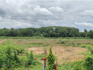 ขาย ที่ดิน ใน ถลาง, ภูเก็ต