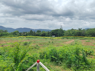 ขาย ที่ดิน ใน ถลาง, ภูเก็ต