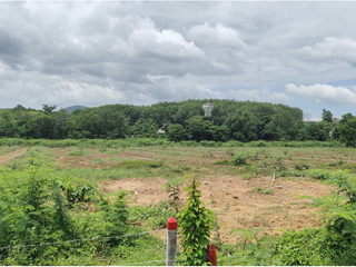 ขาย ที่ดิน ใน ถลาง, ภูเก็ต