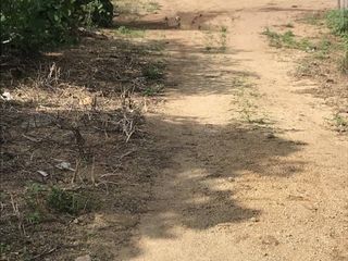 Terreno en venta en Mueang Phuket, Phuket