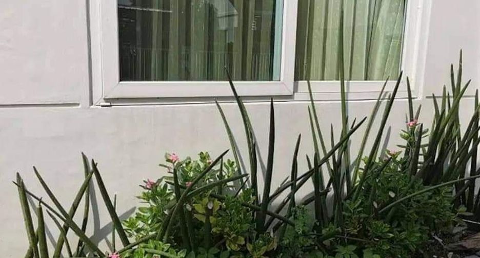 For sale 3 bedrooms house in Bang Bo, Samut Prakan