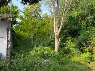 Terreno en venta en Thawi Watthana, Bangkok