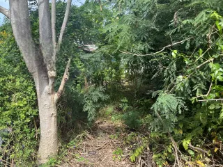Terreno en venta en Thawi Watthana, Bangkok