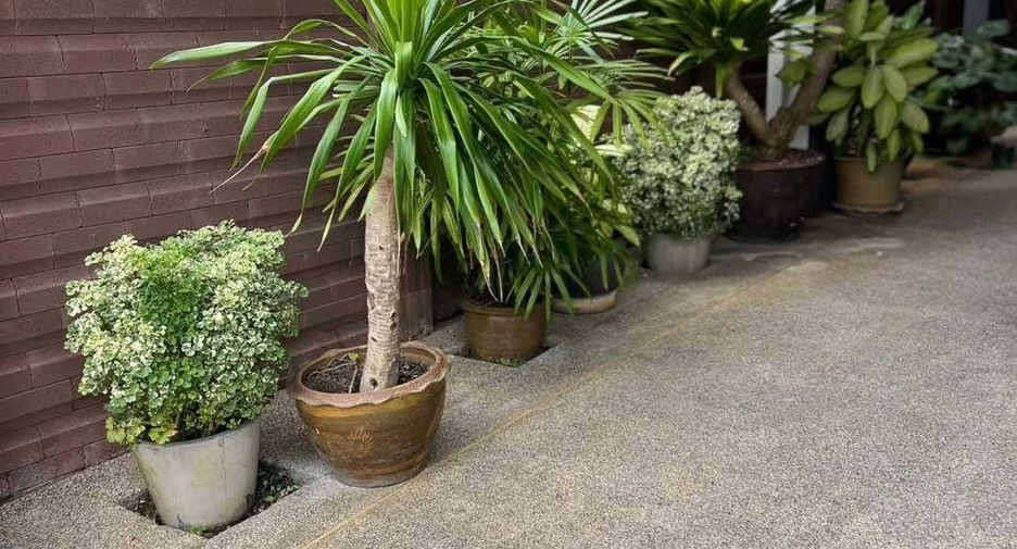 For sale 3 ベッドルーム house in Mueang Phuket, Phuket