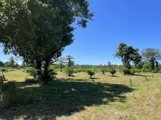 For sale land in Takua Pa, Phang Nga