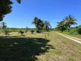 For sale land in Takua Pa, Phang Nga