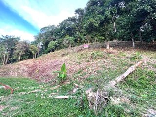 For sale land in Kathu, Phuket