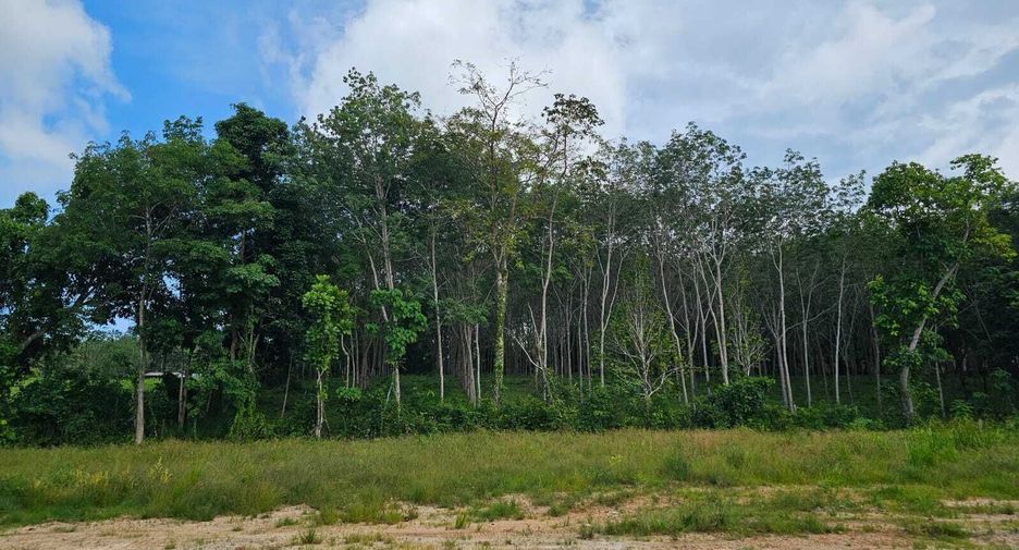 ขาย ที่ดิน ใน ถลาง, ภูเก็ต