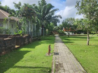 For sale land in Thalang, Phuket