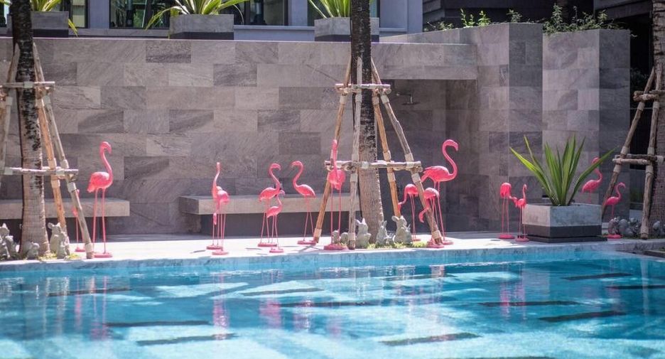 For rent 1 bed condo in Mueang Phuket, Phuket