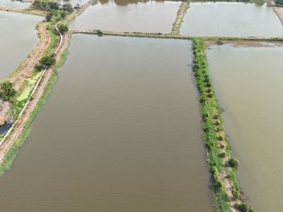 ขาย ที่ดิน ใน บางเสาธง, สมุทรปราการ
