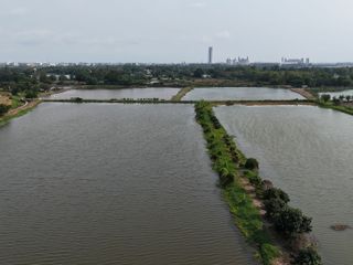 ขาย ที่ดิน ใน บางเสาธง, สมุทรปราการ