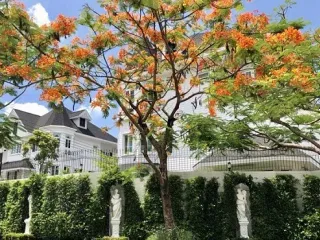 Casa en alquiler de 4 habitaciones en Bang Na, Bangkok