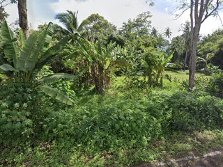 Grundstück zum Kauf in Mueang Krabi, Krabi