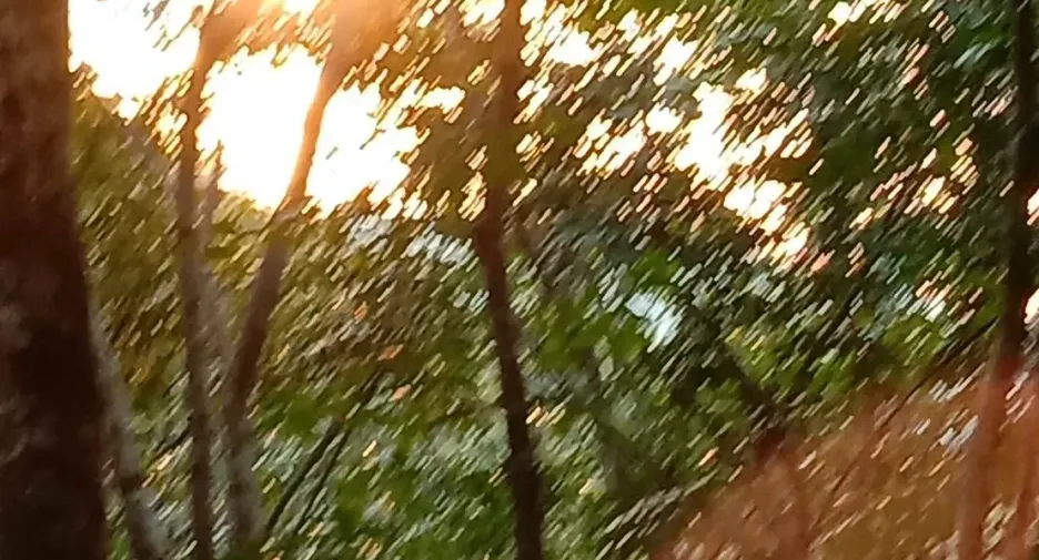Terreno en venta en Ko Yao, Phang Nga