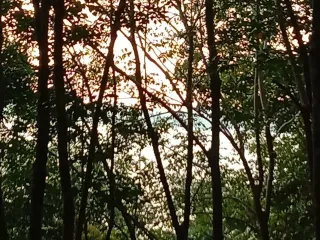 Terreno en venta en Ko Yao, Phang Nga