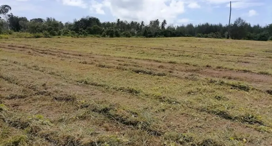 For sale land in Takua Pa, Phang Nga