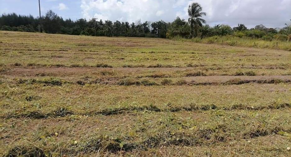 For sale land in Takua Pa, Phang Nga