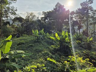 For sale land in Kathu, Phuket