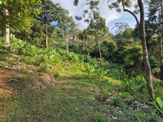 For sale land in Kathu, Phuket