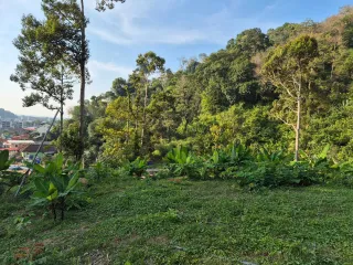 For sale land in Kathu, Phuket