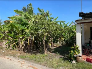 ขาย ที่ดิน ใน ตะกั่วทุ่ง, พังงา