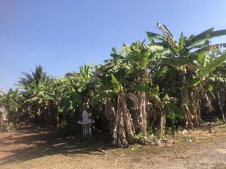 ขาย ที่ดิน ใน ตะกั่วทุ่ง, พังงา