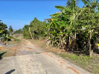 ขาย ที่ดิน ใน ตะกั่วทุ่ง, พังงา