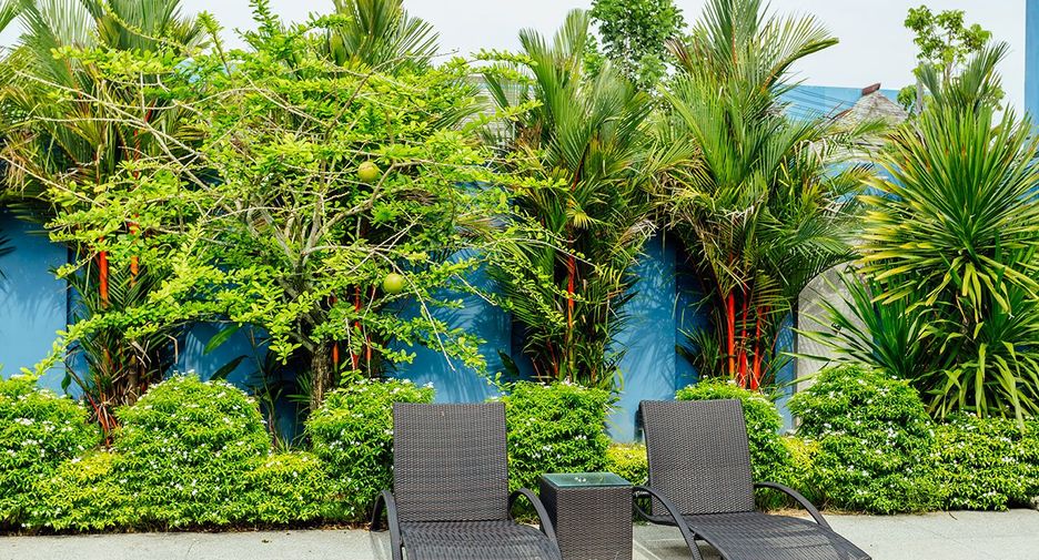 For sale and for rent 3 bedrooms villa in Thalang, Phuket