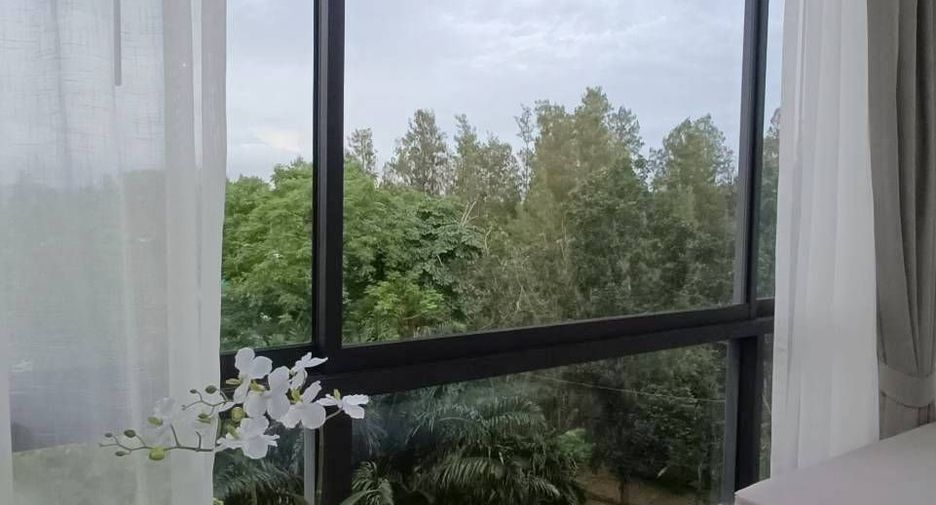 Wohnung zur Miete mit 1 Zimmer in Thalang, Phuket