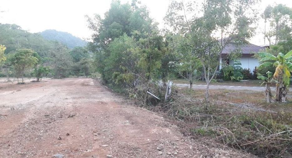 For sale land in Ko Lanta, Krabi