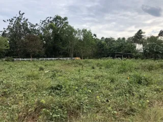 出售 土地 在 Ko Lanta, Krabi