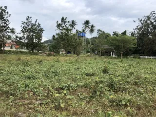 出售 土地 在 Ko Lanta, Krabi