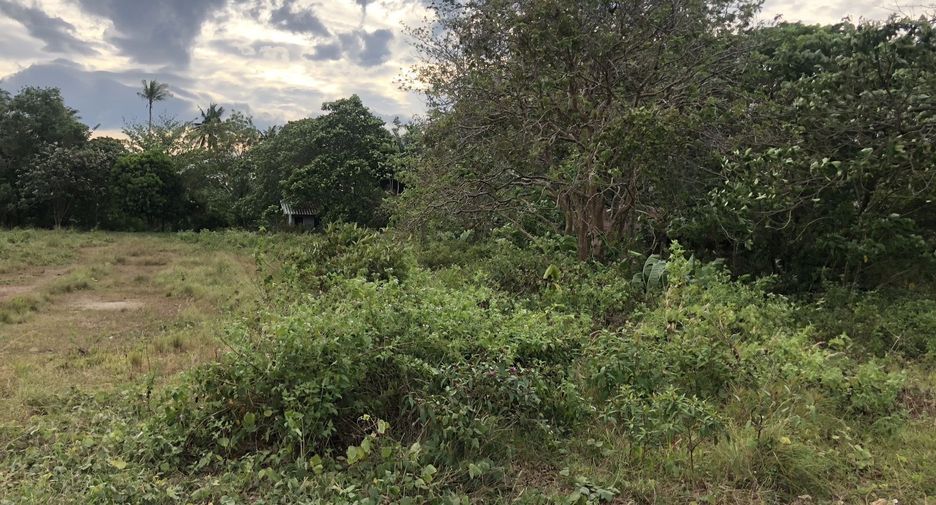 For sale land in Ko Lanta, Krabi