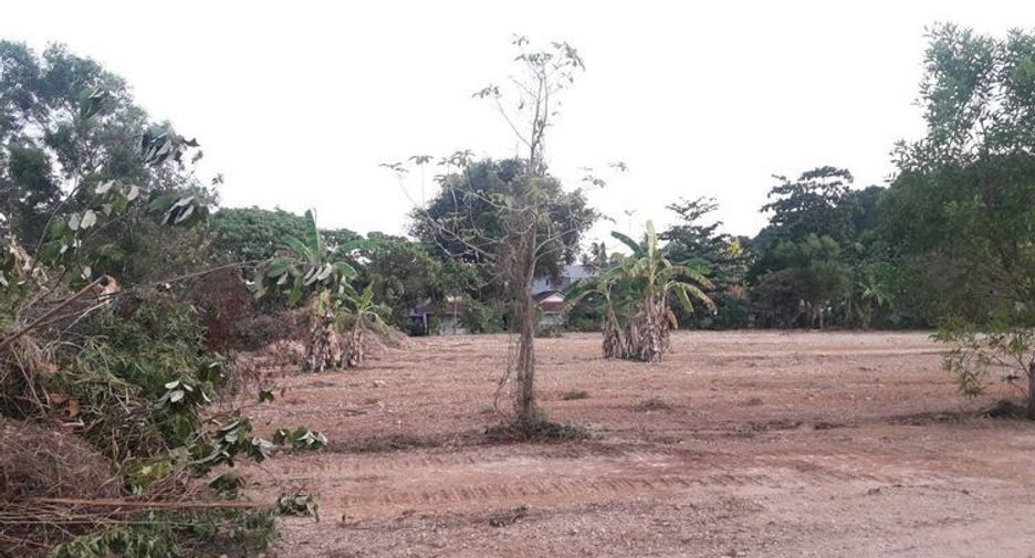 For sale land in Ko Lanta, Krabi