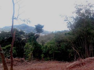 For sale land in Kathu, Phuket