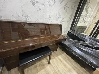 For rent 1 bed condo in Chatuchak, Bangkok