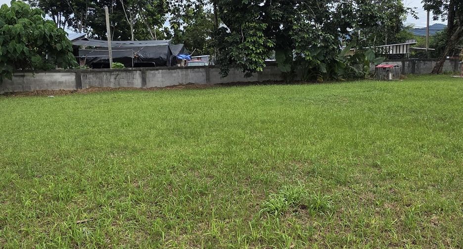 For sale land in Thalang, Phuket