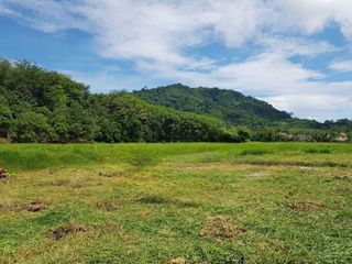 ขาย ที่ดิน ใน ถลาง, ภูเก็ต