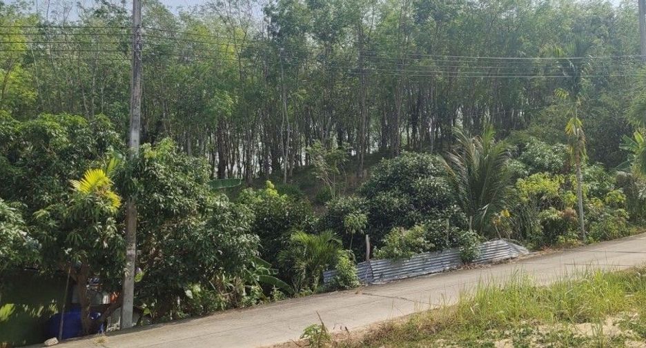 For sale land in Thalang, Phuket
