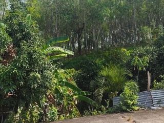 For sale land in Thalang, Phuket