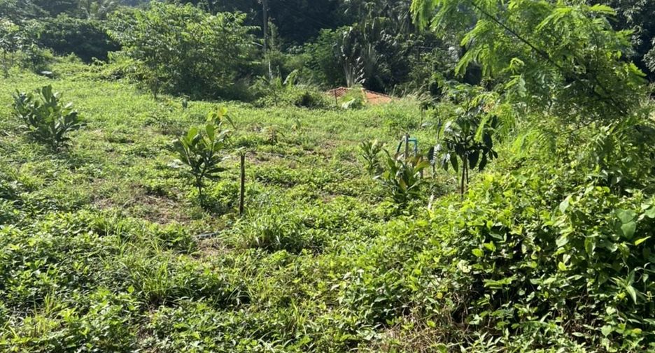 À vendre terrain à Mueang Phuket, Phuket