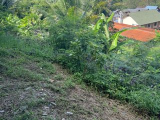 ขาย ที่ดิน ใน เมืองภูเก็ต, ภูเก็ต