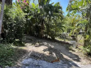 Grundstück zum Kauf in Kathu, Phuket