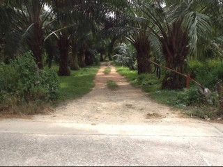 For sale land in Takua Pa, Phang Nga