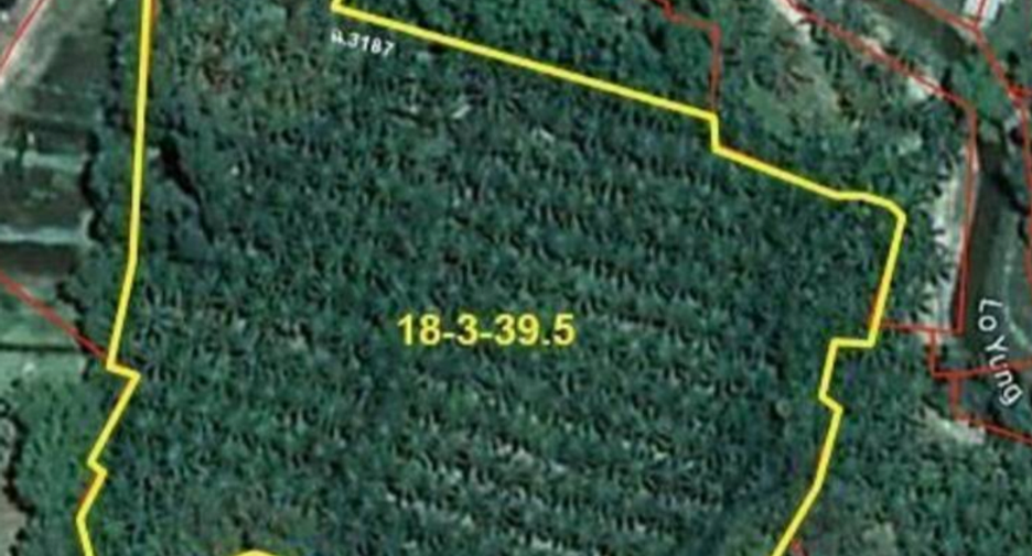 For sale land in Takua Pa, Phang Nga