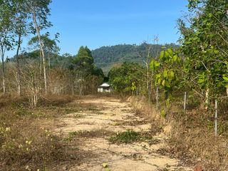 For sale land in Takua Thung, Phang Nga