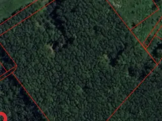 Продажа Участок в Takua Thung, Пханга
